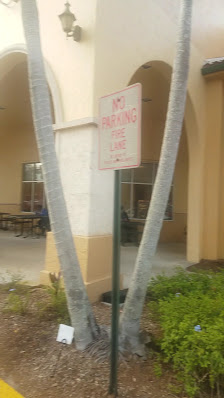 Plantation Towne Square photo 3