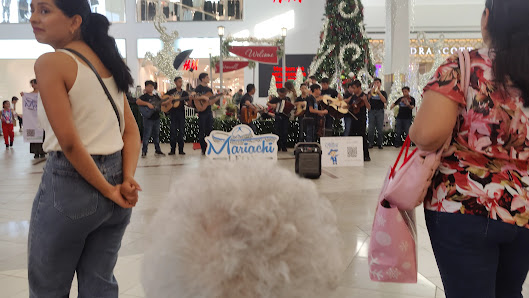 La Plaza photo 4