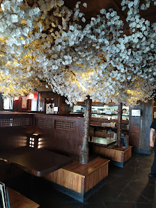Willowtree Plaza photo 5