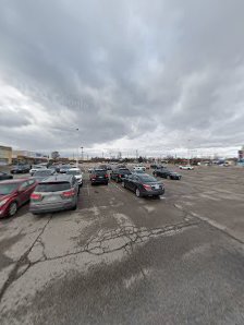 Oakville Commons . photo 5