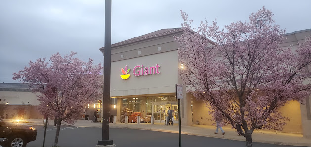 University Mall photo 1