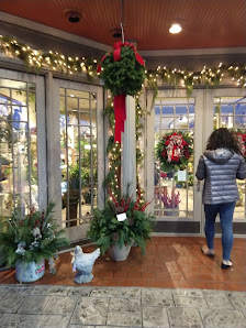 Stuyvesant Plaza photo 2