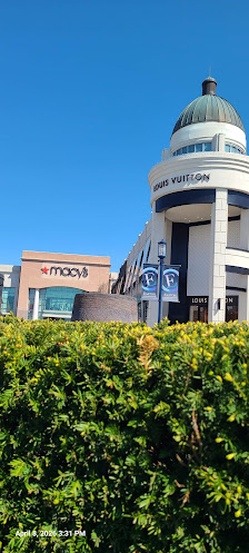 The Town Center at Levis Commons photo 2
