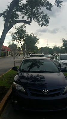 Plantation Square Plaza photo 3
