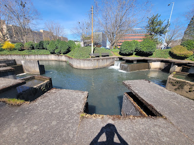 Pringle Park Plaza photo 2