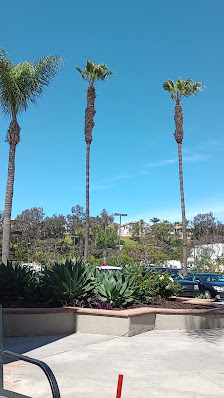 Plaza Paseo Real photo 3