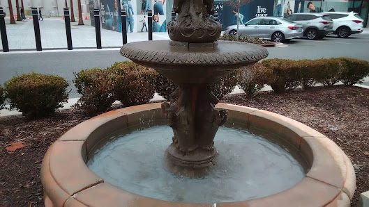 Tioga Town Center photo 3