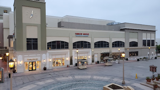 The Paseo photo 5