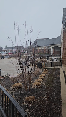 Dorsey's Search Village Center photo 2
