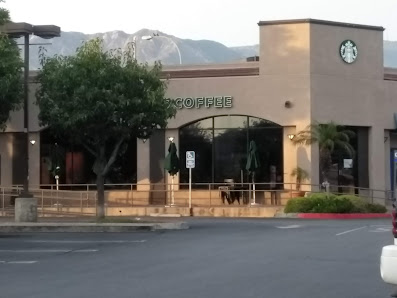 Rose Garden Plaza photo 4