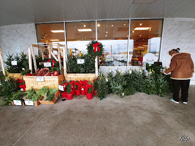 Greenridge Plaza photo 2