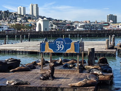 PIER 39 photo 5