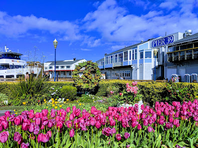 PIER 39 photo 7