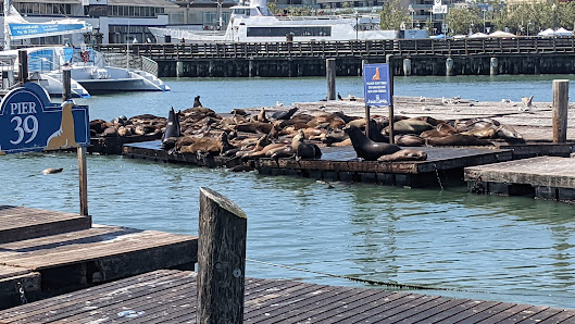 PIER 39 photo 8