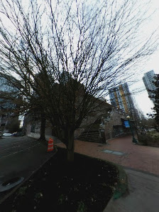 Bellevue Connection photo 4