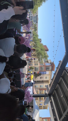 Pearland Town Center photo 2