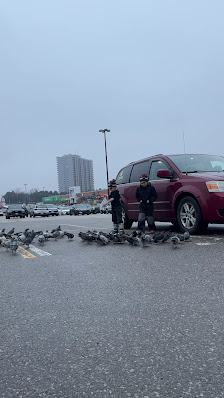 Rockwood Mall photo 2