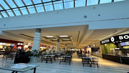 Galleria at Crystal Run photo 5