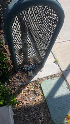 Warner Dale Square photo 2