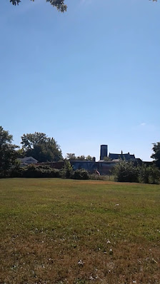 La Plaza Del Mercado photo 3