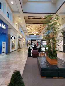 Lansdowne Place photo 1