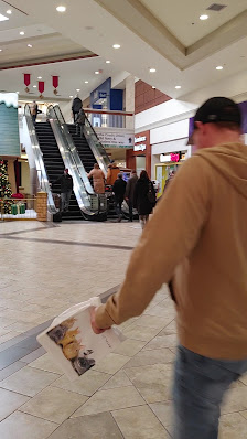 Lansdowne Place photo 3