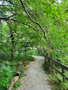 Heron Haven Nature Center photo 1