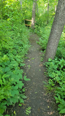 Heron Haven Nature Center photo 3