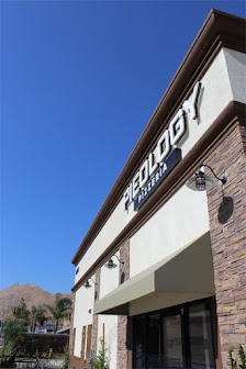 Lancaster Town Center photo 5