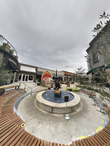 Town Center Corte Madera photo 7