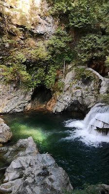 Lynn Valley Village photo 3