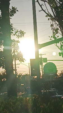 Long Beach Town Square photo 3