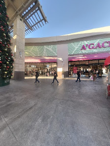 Plaza Palmera photo 6