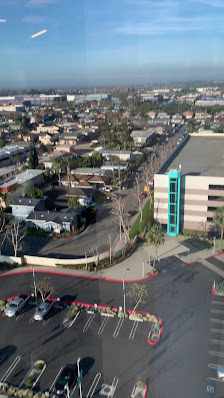 Ocean Plaza photo 3