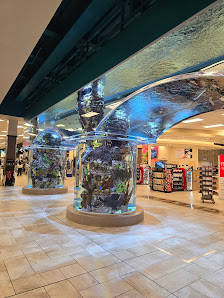 Puente Hills Mall photo 1