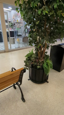 Whitby Mall photo 4