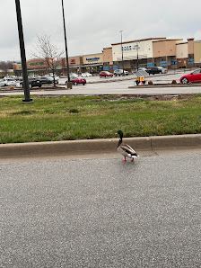 Adams Dairy Landing photo 2