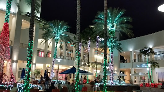 Downtown Palm Beach Gardens photo 5