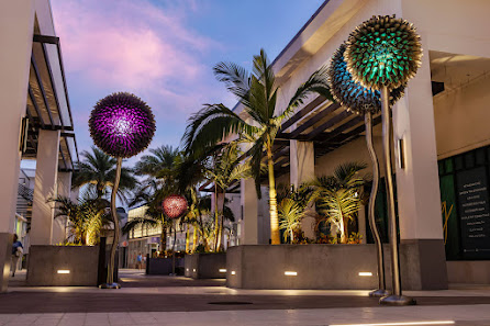 Downtown Palm Beach Gardens photo 6