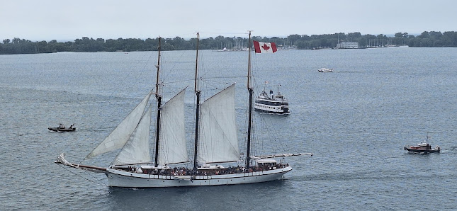Harbourfront Centre photo 5