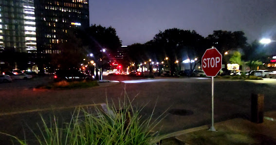 The Hill photo 3