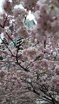 Madison Centre photo 3