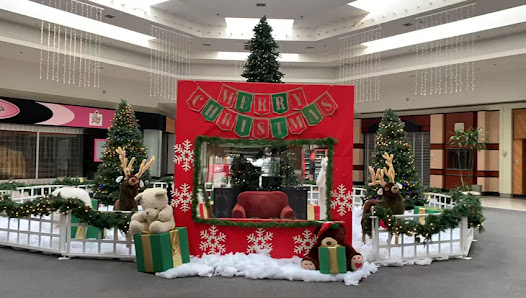 The Towne Mall Galleria photo 3