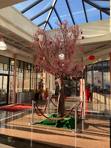 Asia Plaza photo 1