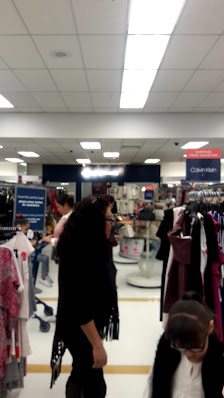 Terra Nova Plaza photo 3