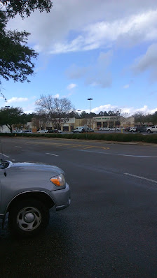 Village Commons photo 3