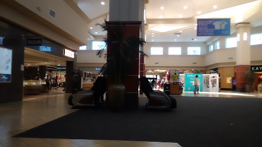 Paddock Mall photo 3