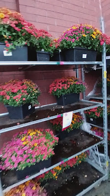 District Shops of Pelham Manor photo 3