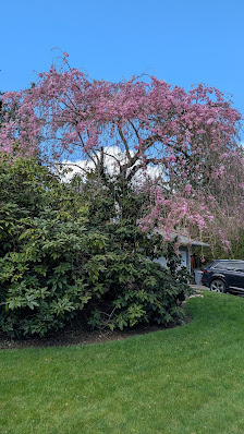 Crossroads Bellevue photo 2