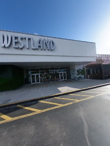 Westland Mall photo 6